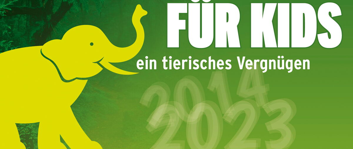 DER DSCHUNGEL für KIDS